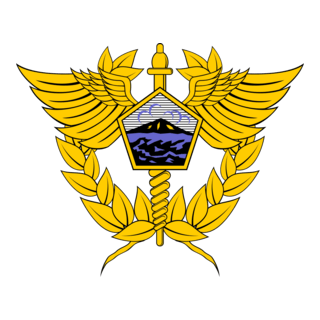 Logo Bea Cukai Karimun